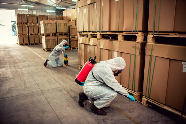 Wasp Removal Services in Westmont, IL