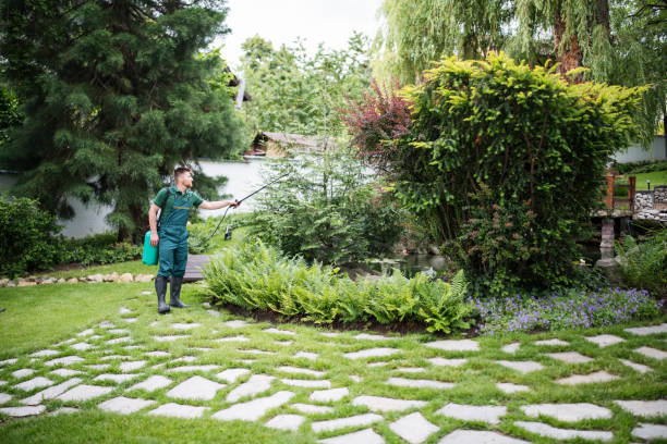 Best Local Pest Control Services  in Westmont, IL