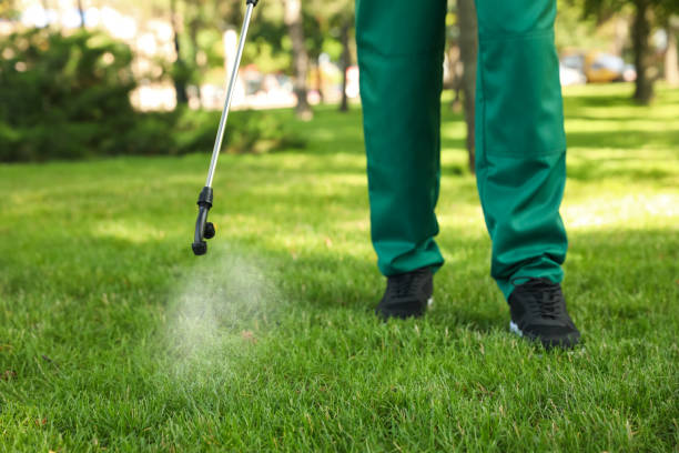 Best Rodent Control Near Me  in Westmont, IL